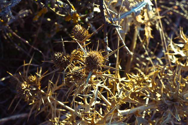 Proyecto de Álvaro Sanz: Despierta!. Photos by Frederic Navarro